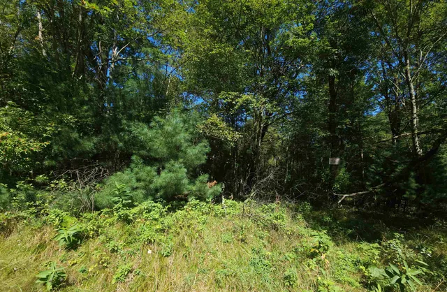 $165,000 | West Pine Creek, Hixton, WI 54635