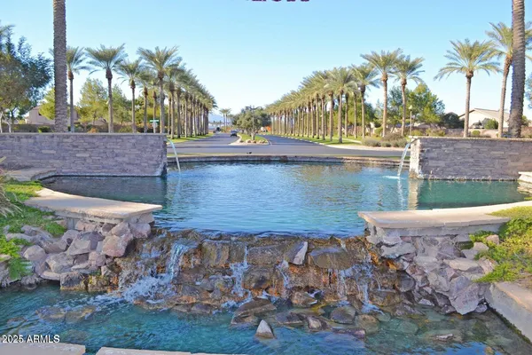 a view of a backyard with plants and palm trees