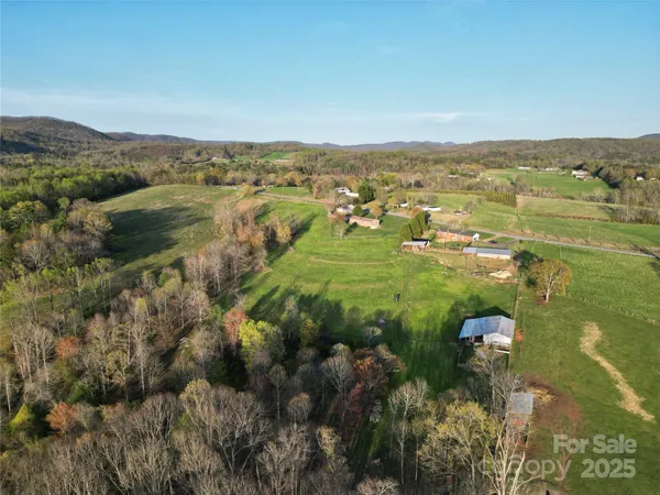 an aerial view of green landscape with trees houses and mountain view