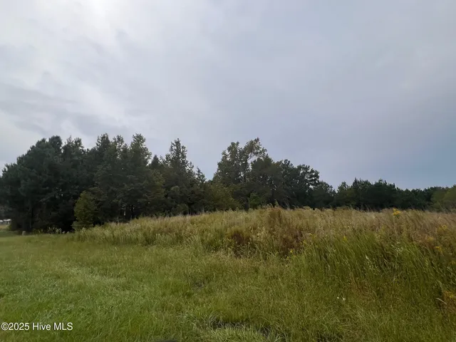 $45,000 | 137 Days Landing Road, Merritt, NC 28556