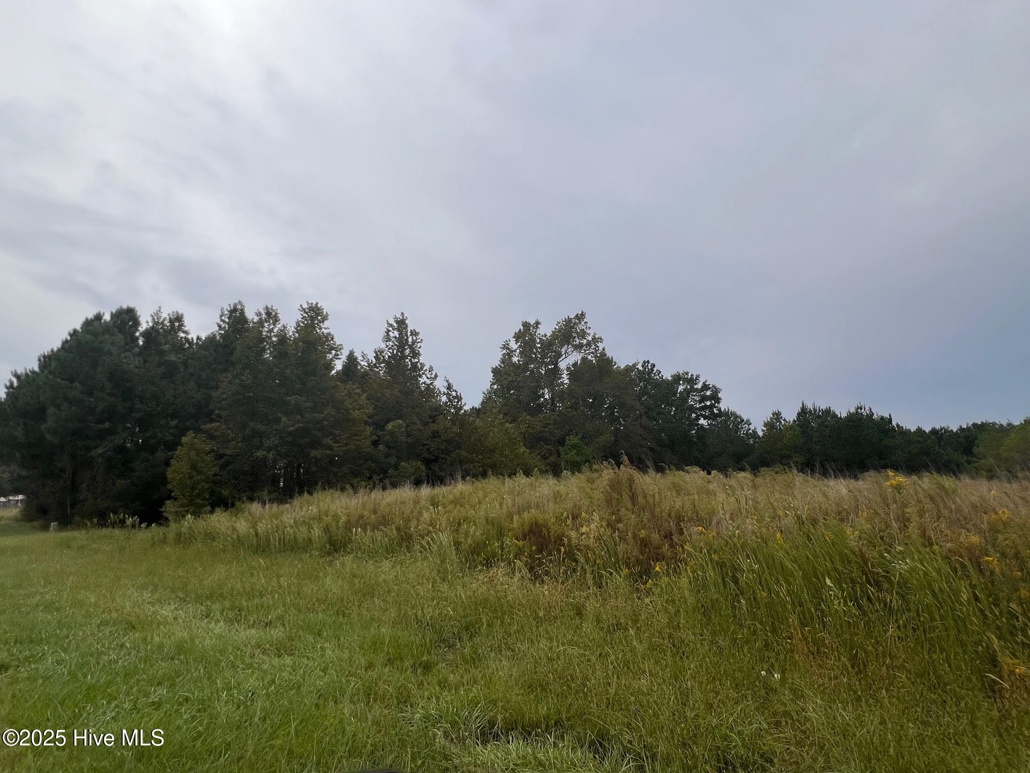 137 Days Landing Road Merritt, NC 28556 - Photo 3 of 9 1