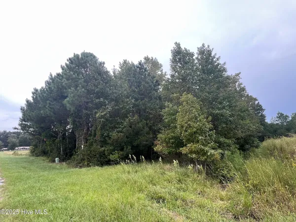 $44,000 | 137 Days Landing Road, Merritt, NC 28556