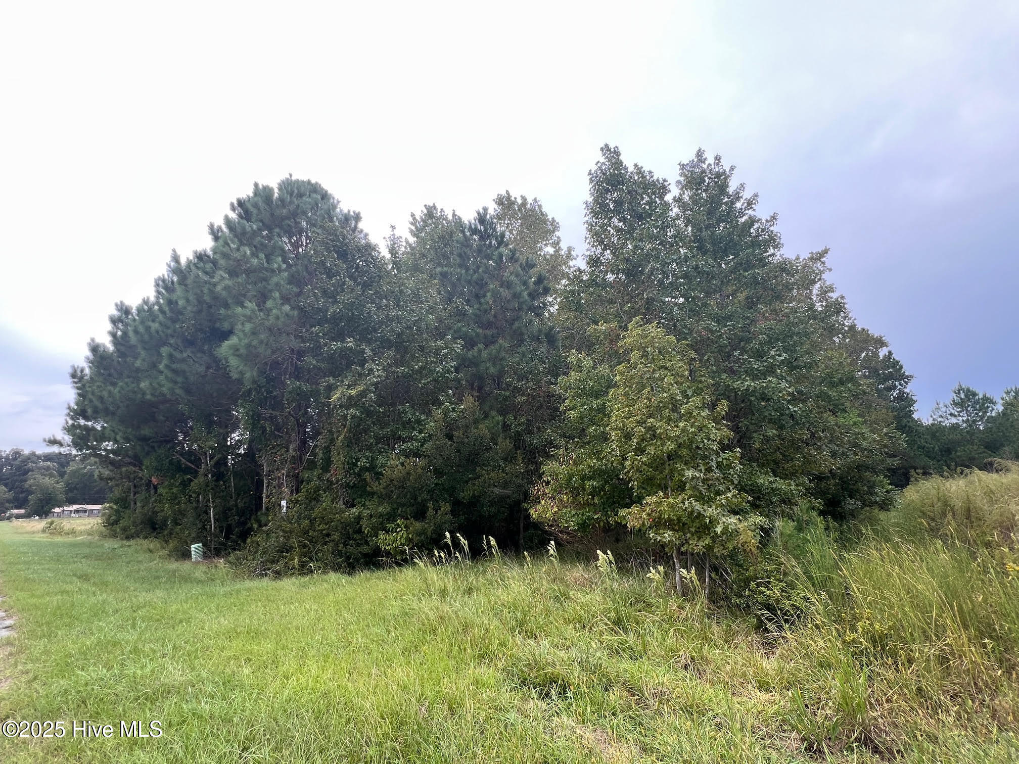 137 Days Landing Road Merritt, NC 28556 - Photo 4 of 9 2