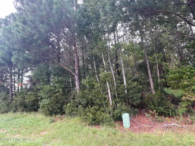 $45,000 | 137 Days Landing Road, Merritt, NC 28556