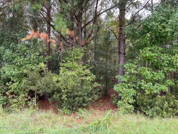 $44,000 | 137 Days Landing Road, Merritt, NC 28556