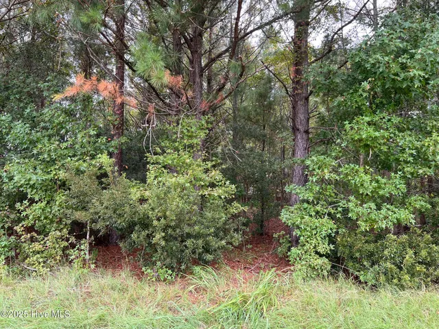 $45,000 | 137 Days Landing Road, Merritt, NC 28556