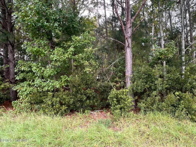 $45,000 | 137 Days Landing Road, Merritt, NC 28556