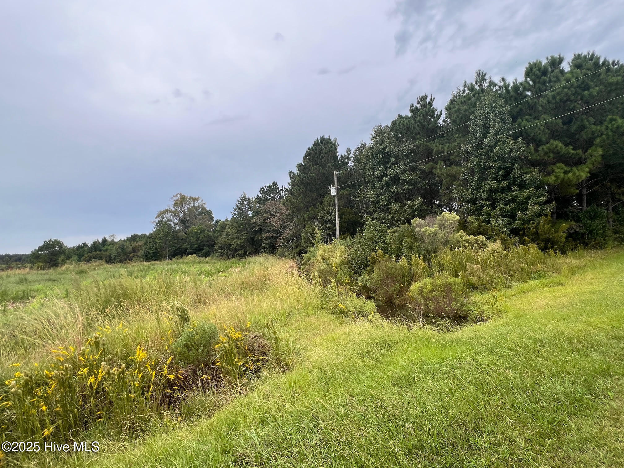 137 Days Landing Road Merritt, NC 28556 - Photo 9 of 9 7