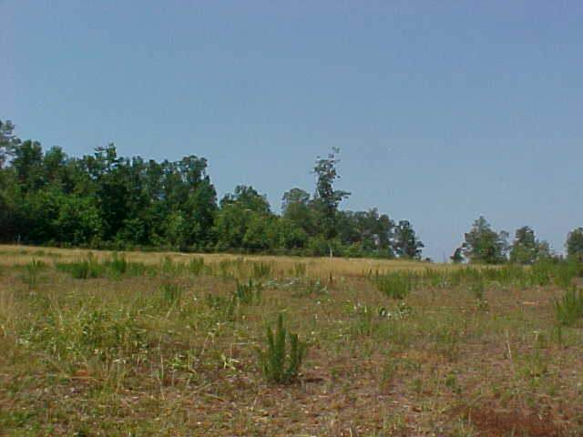 3550 Ballenger Road Greer, SC 29651 - Photo 8 of 8