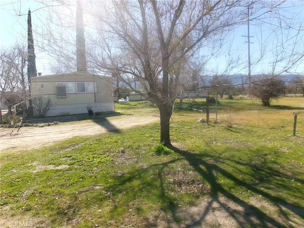 a view of a yard with a large tree