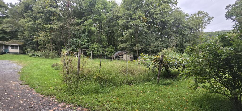 11123 Strawberry Patch Road Hesston, PA 16647 - Photo 7 of 26 Gallery Image 7