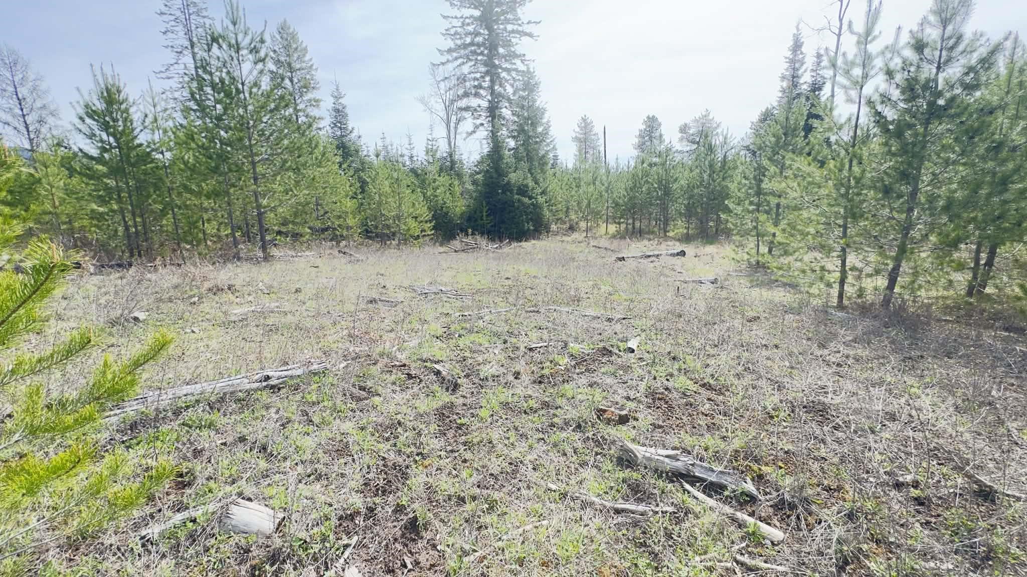 Nkn Nkn Evergreen Road Cusick, WA 99119 - Photo 12 of 14 Gallery Image 12