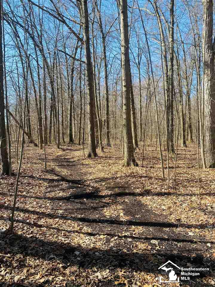 2111 Yensch Road Dundee, MI 48131 - Photo 27 of 27 Gallery Image 27