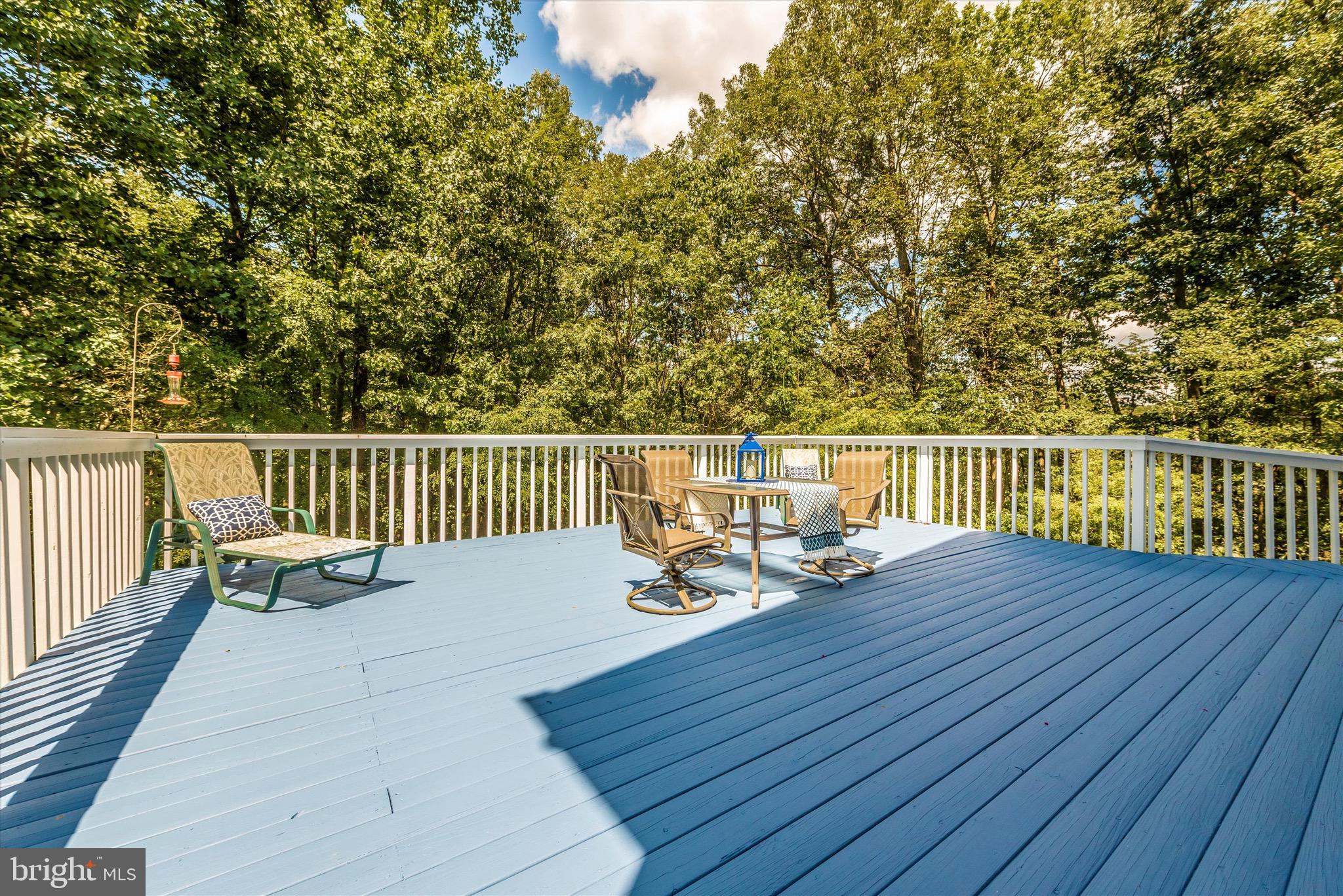 3686 Buffalo Road New Windsor, MD 21776 - Photo 53 of 80