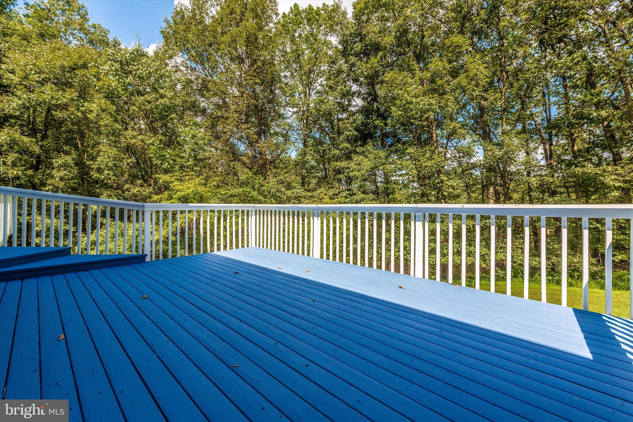 3686 Buffalo Road New Windsor, MD 21776 - Photo 56 of 80