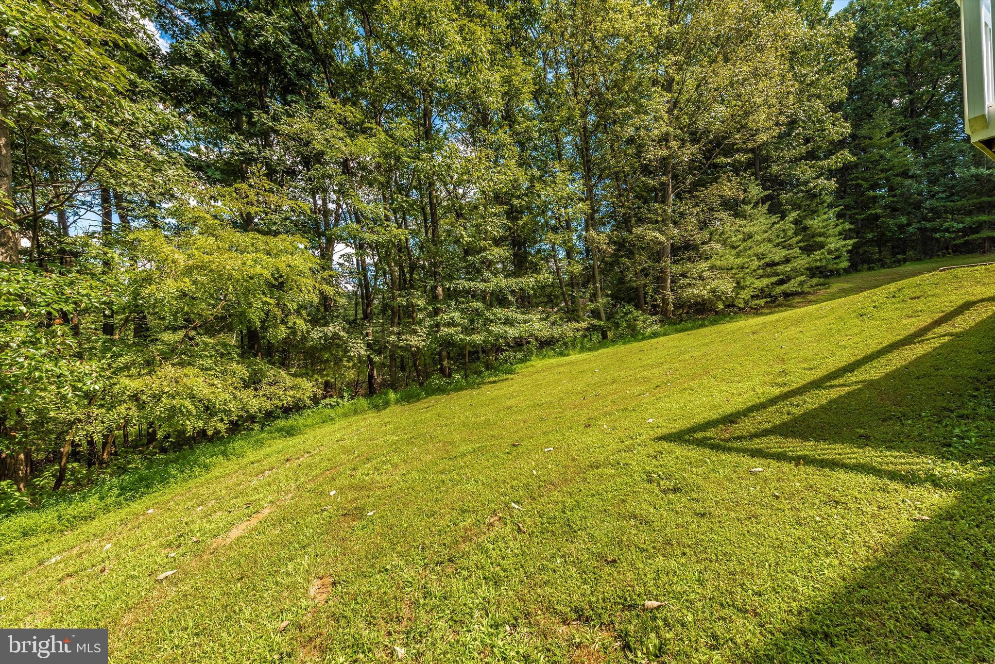 3686 Buffalo Road New Windsor, MD 21776 - Photo 61 of 80