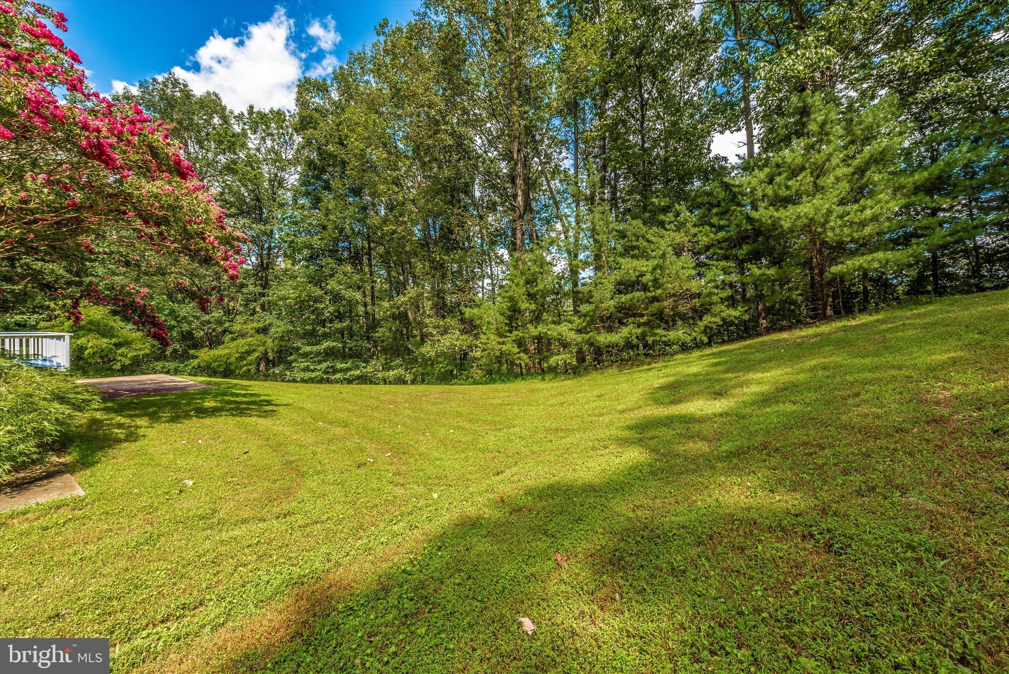3686 Buffalo Road New Windsor, MD 21776 - Photo 62 of 80