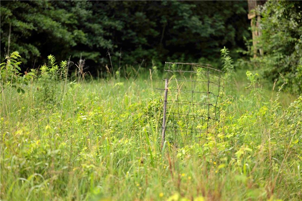 Northwest Waller Road Richmond, MO 64085 - Photo 17 of 80