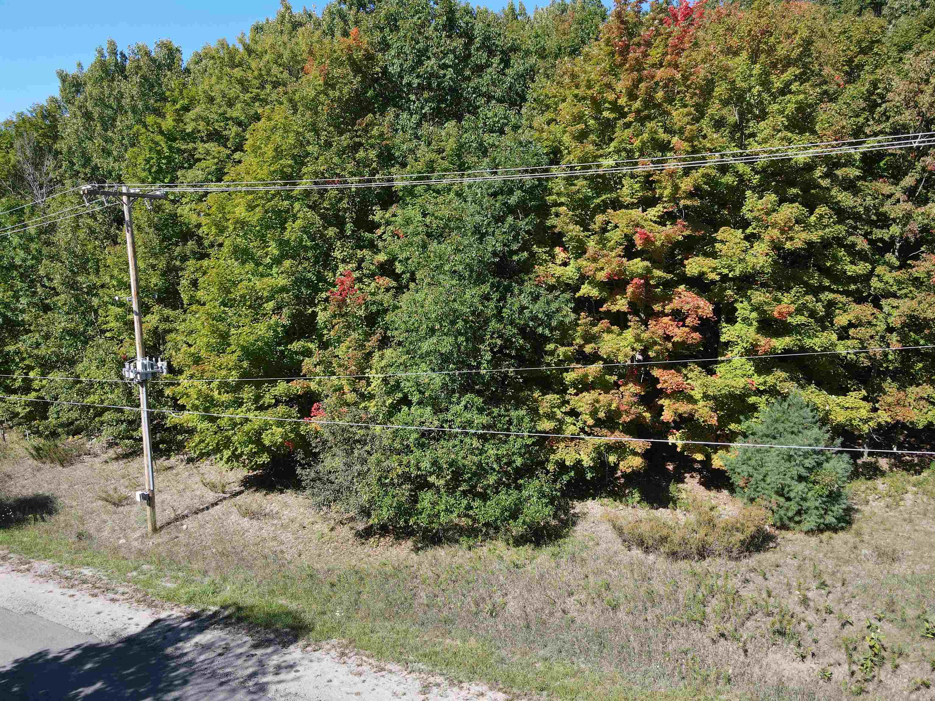 0 East Old Mountain Road Cedar, MI 49621 - Photo 10 of 14