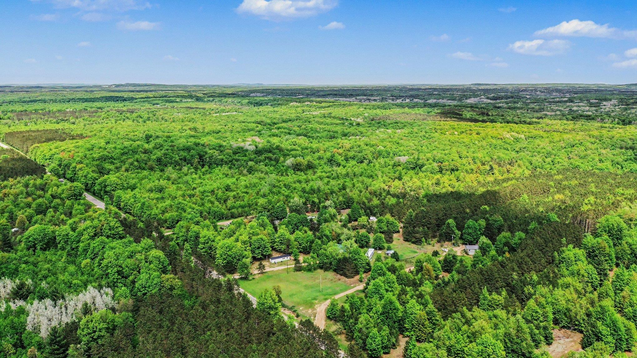 6585 Wallaker Road Benzonia, MI 49616 - Photo 4 of 22