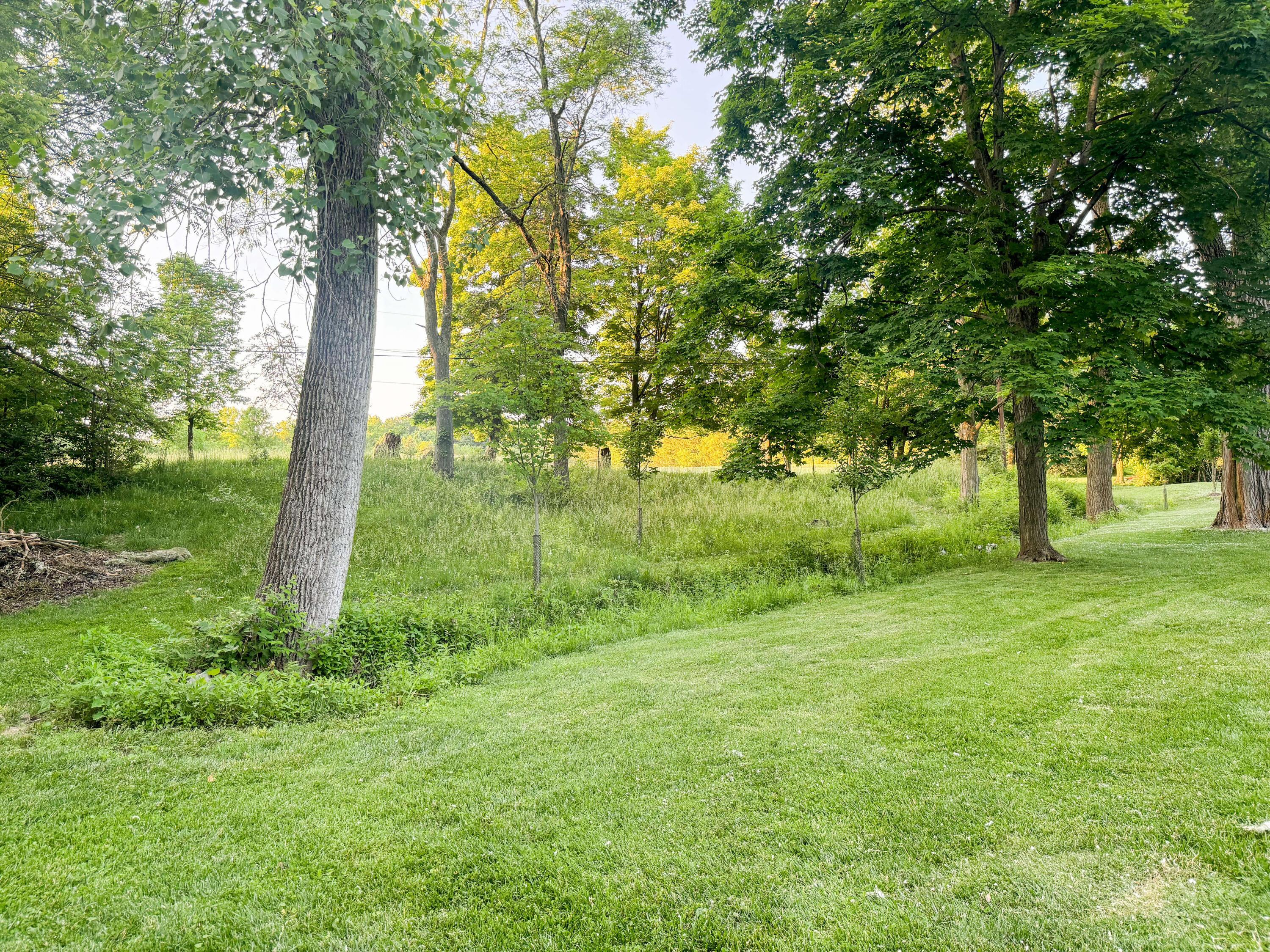 4871 Rutherford Road Powell, OH 43065 - Photo 6 of 63 06