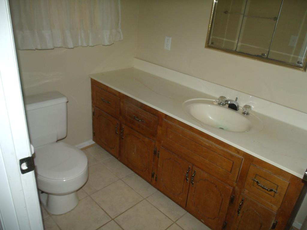 4338 Boulineau Road Blythe, GA 30805 - Photo 12 of 26 Owner Bath - Vanity