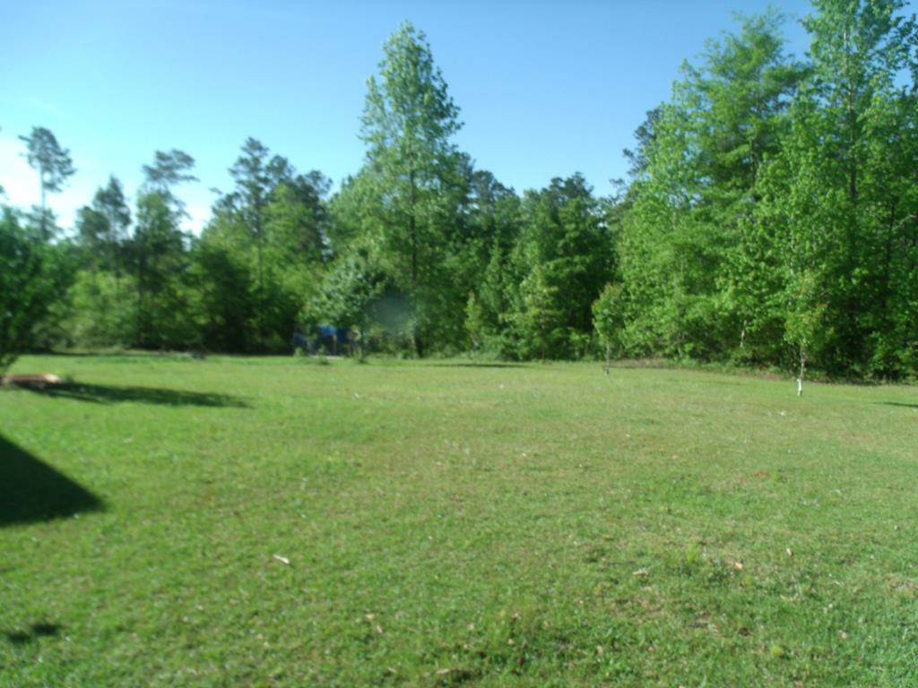 4338 Boulineau Road Blythe, GA 30805 - Photo 24 of 26 Back Yard