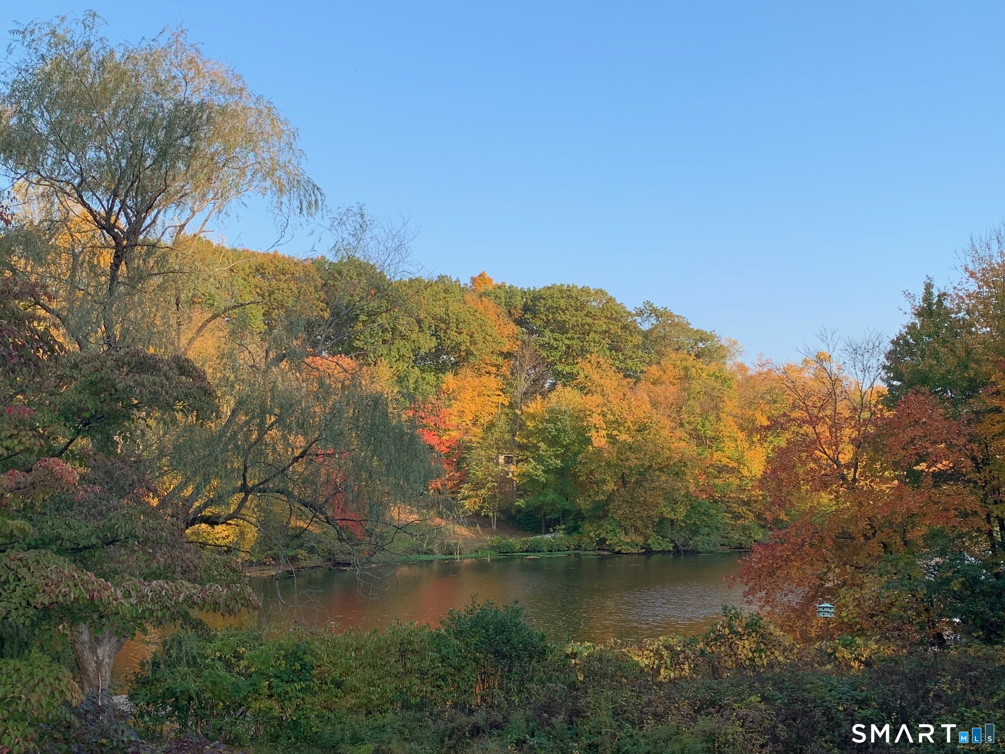 50 Turkey Meadow Road Trumbull, CT 06611 - Photo 37 of 40 Fall: Golden foliage frames the lake as crisp air drifts across the water. Reflections shimmer with warm hues, creating a peaceful backdrop perfect for quiet mornings or cozy evenings by the shore.