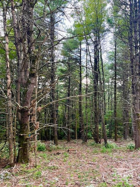 0 Old Ghost Road Canaan, NY 12029 - Photo 3 of 4 a view of outdoor space and yard
