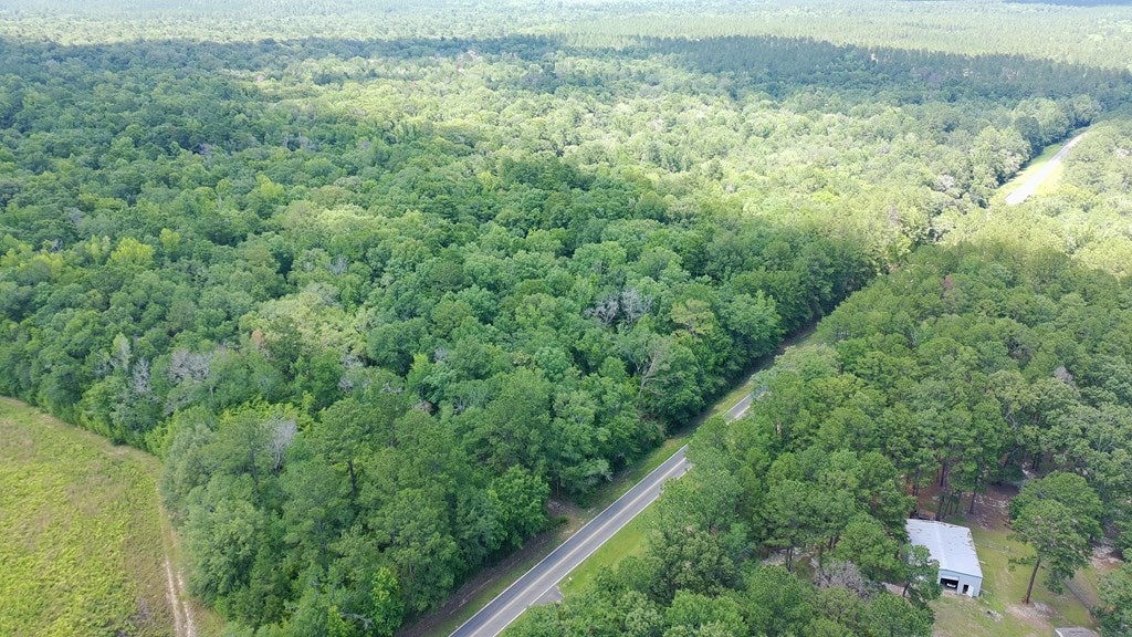 4574 Hadley Ferry Road Cairo, GA 39828 - Photo 47 of 51 Big Woods
