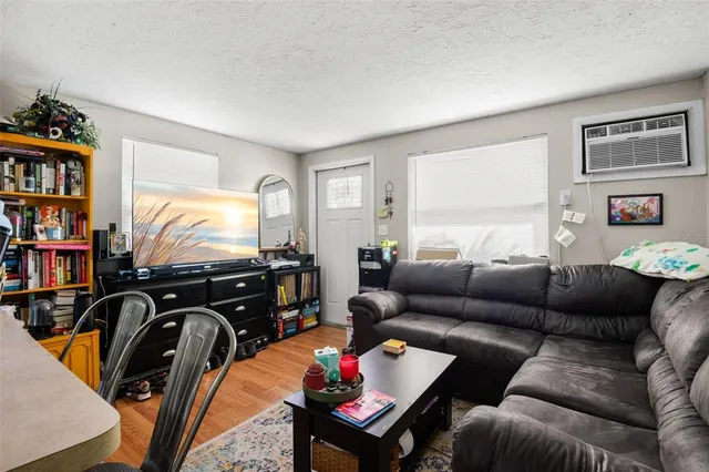 a living room with furniture flowerpot and a potted plant