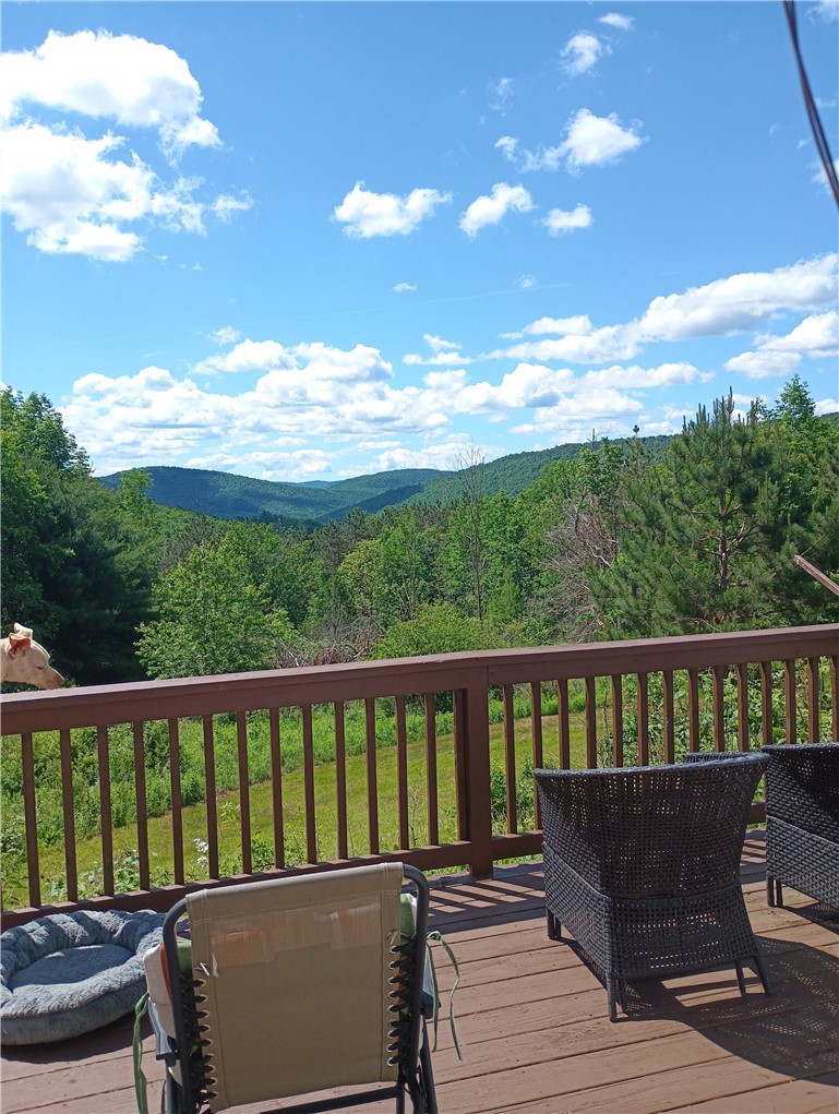 4323 Gregory Hollow Road Hamden, NY 13782 - Photo 2 of 33