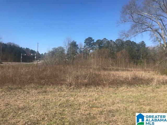 0 Logan Road, Unit 1 Clanton, AL 35045 - Photo 3 of 3
