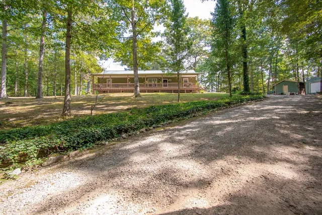 a view of a yard with plants and trees