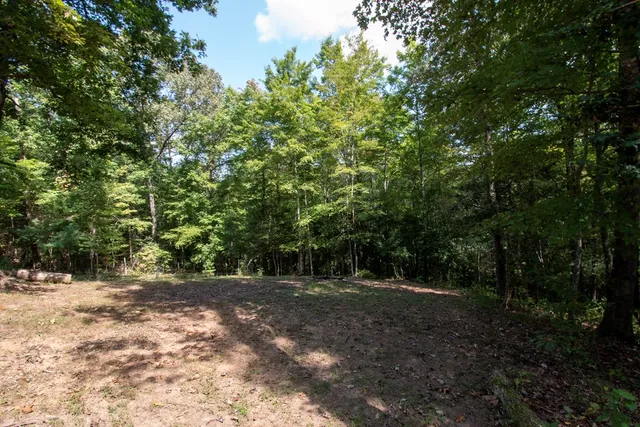 a house view with a backyard space