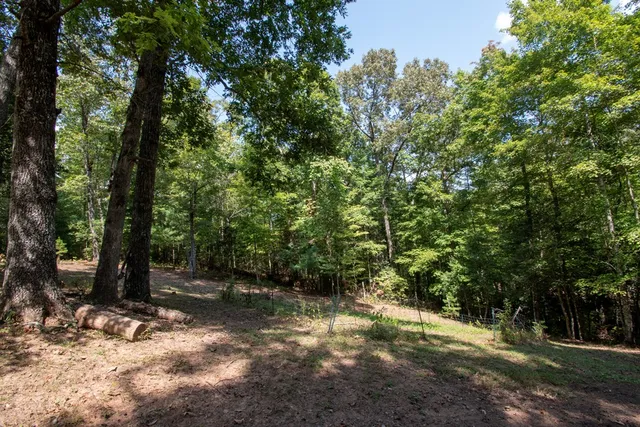 a view of a house with a yard and furniture