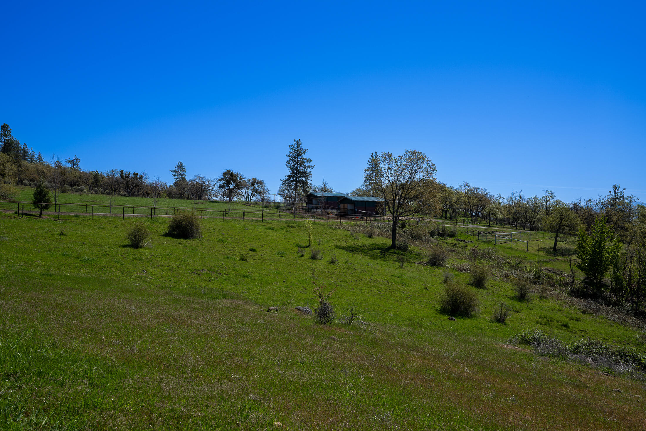 1881 Brophy Road Eagle Point, OR 97524 - Photo 117 of 130 115