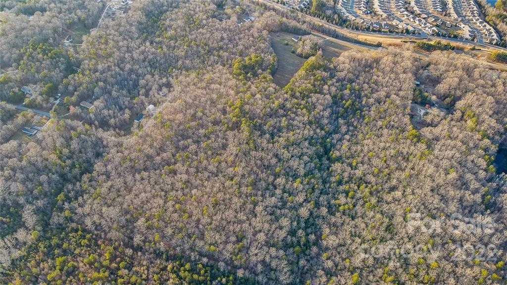 9504 Van Wyck Road Lancaster, SC 29720 - Photo 7 of 10 a view of a forest with large trees
