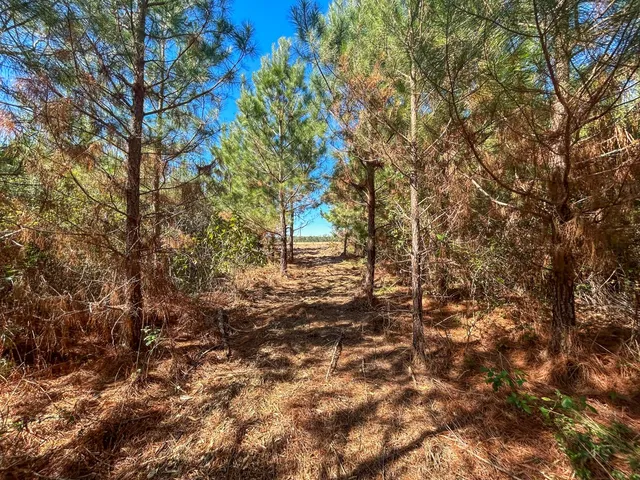 $45,458 | 7 County Road 3121, Long Branch, TX 75669