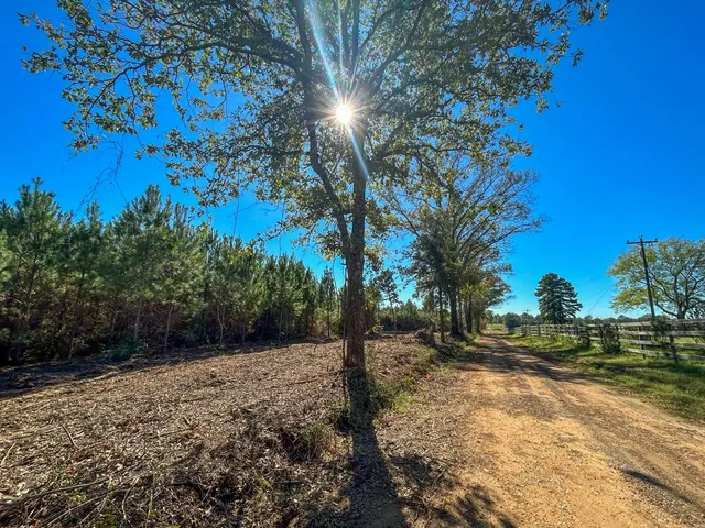 $45,458 | 7 County Road 3121, Long Branch, TX 75669