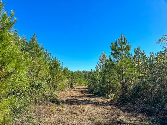 $45,458 | 7 County Road 3121, Long Branch, TX 75669