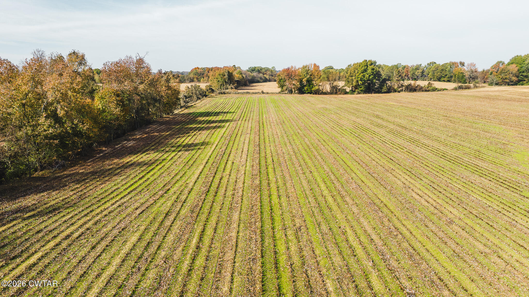 0 Kinner Road Humboldt, TN 38343 - Photo 19 of 22 a view of an ocean from a balcony