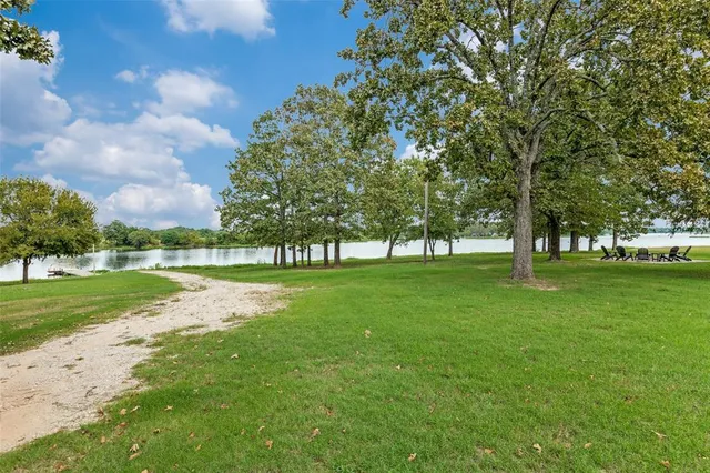 a view of a park with large trees