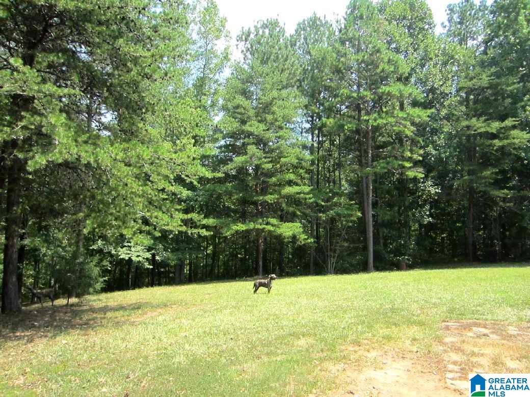 2329 Smith Mill Road, Unit 78 AC Delta, AL 36258 - Photo 6 of 16 Gallery Image 6