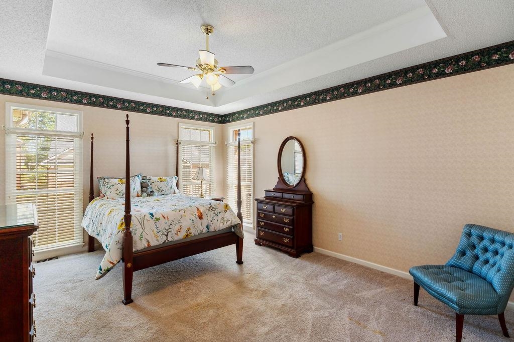 172 Roberts Meadow Loop Spartanburg, SC 29307 - Photo 29 of 50 Tray ceiling