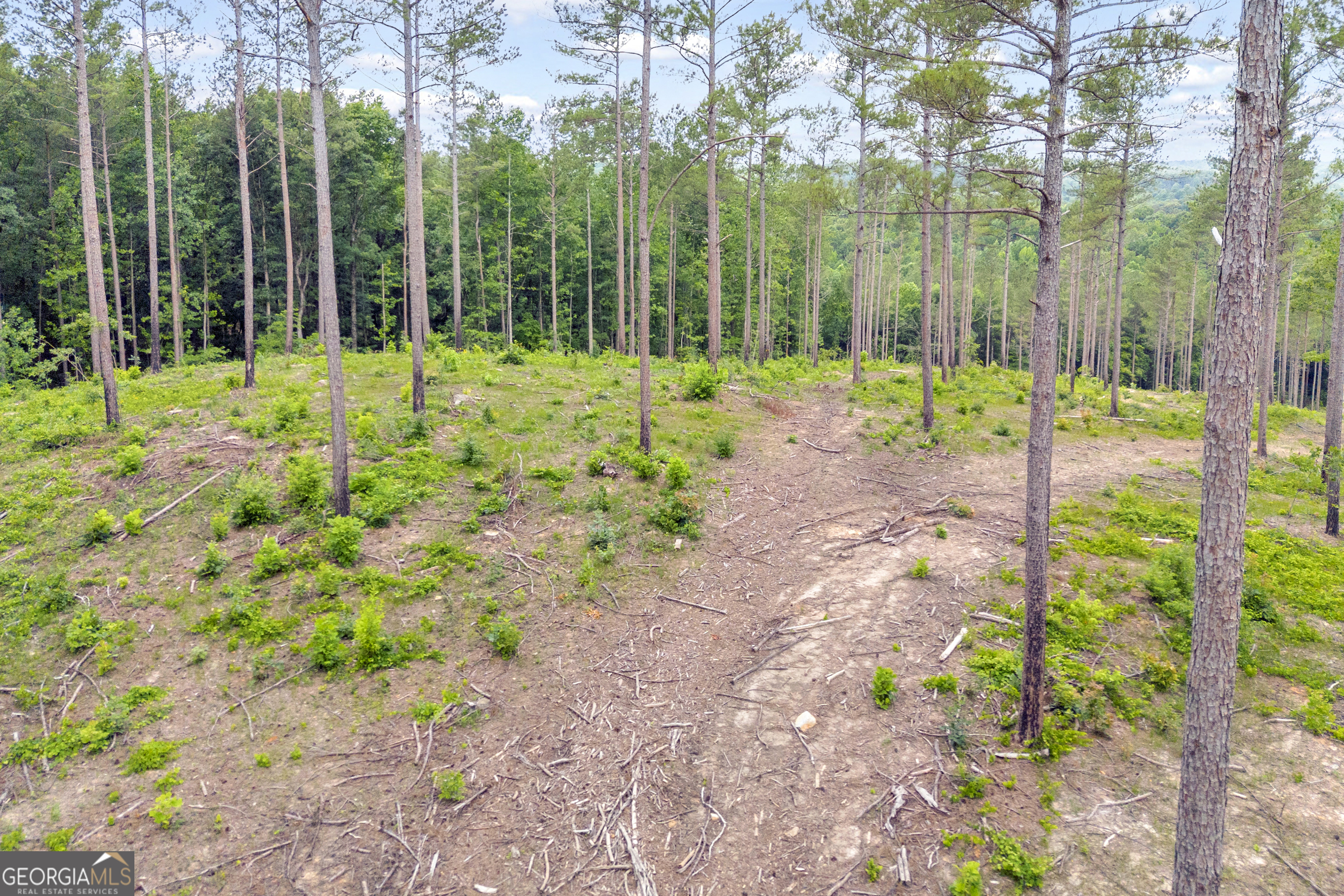 0 Mt Sinai Road, Unit LOT 1 Lula, GA 30554 - Photo 25 of 67