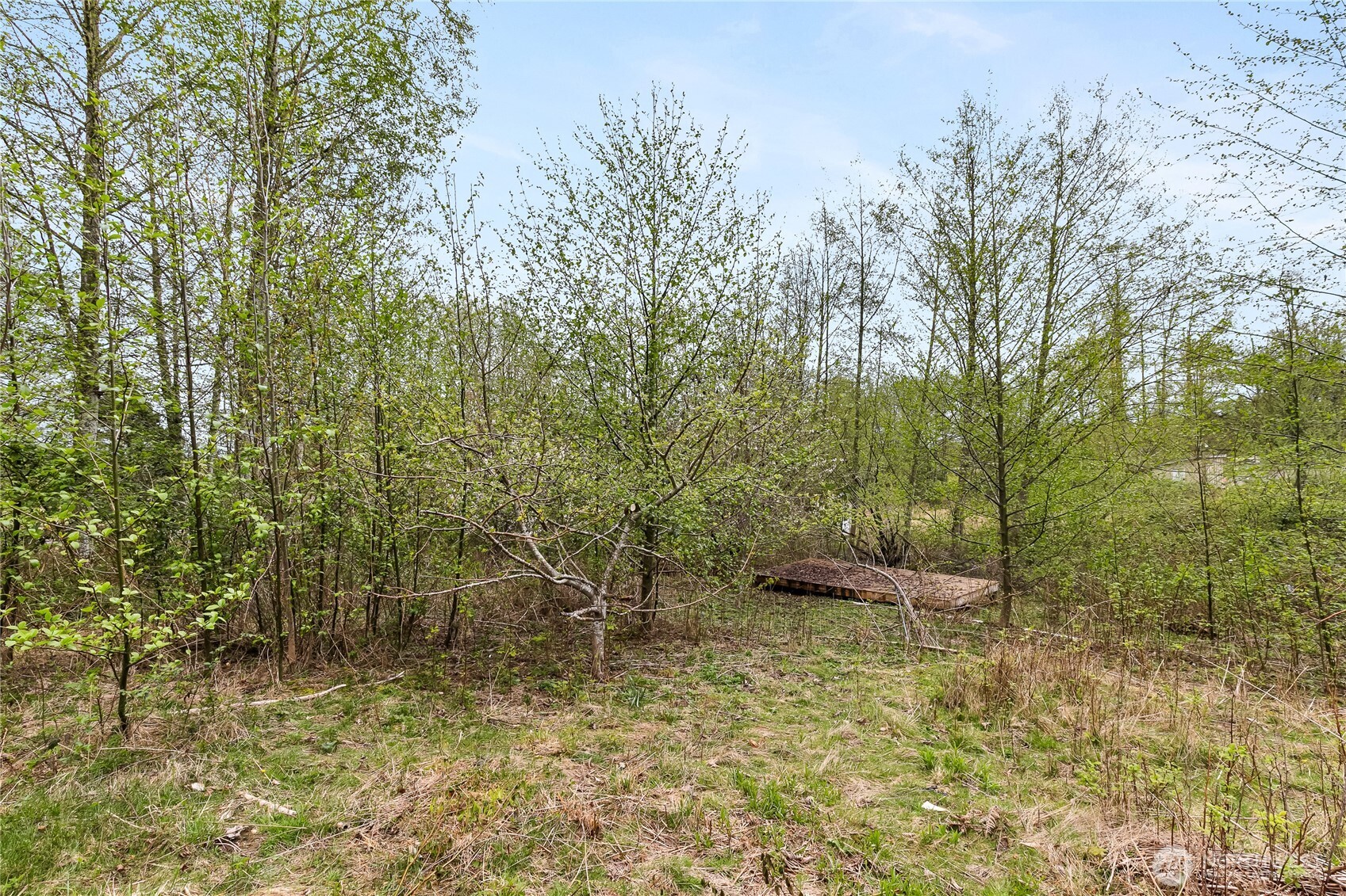6557 Malloy Road Ferndale, WA 98248 - Photo 17 of 24 a view of a yard