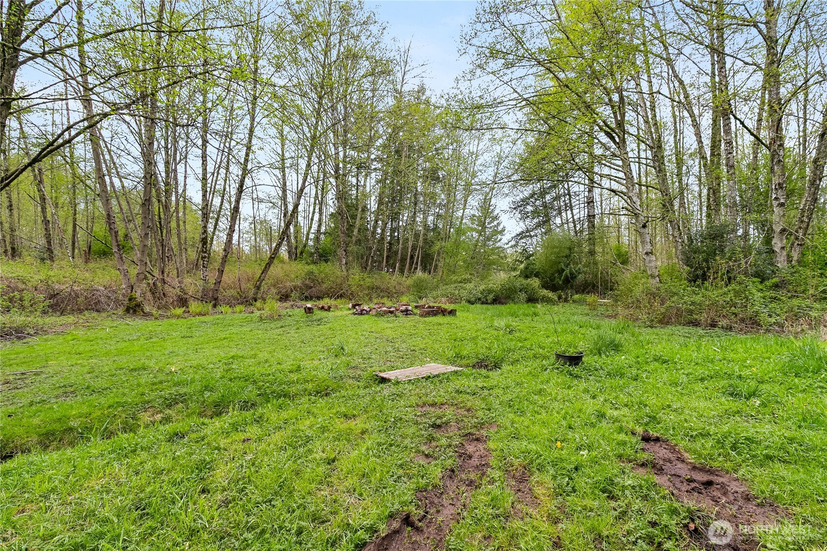 6557 Malloy Road Ferndale, WA 98248 - Photo 18 of 24 a view of backyard with green space