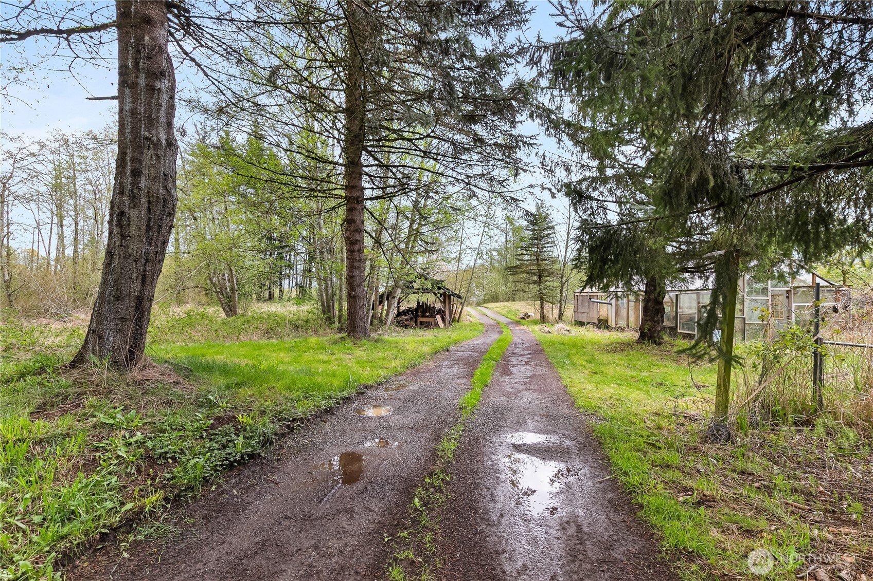 6557 Malloy Road Ferndale, WA 98248 - Photo 20 of 24 a park with large trees