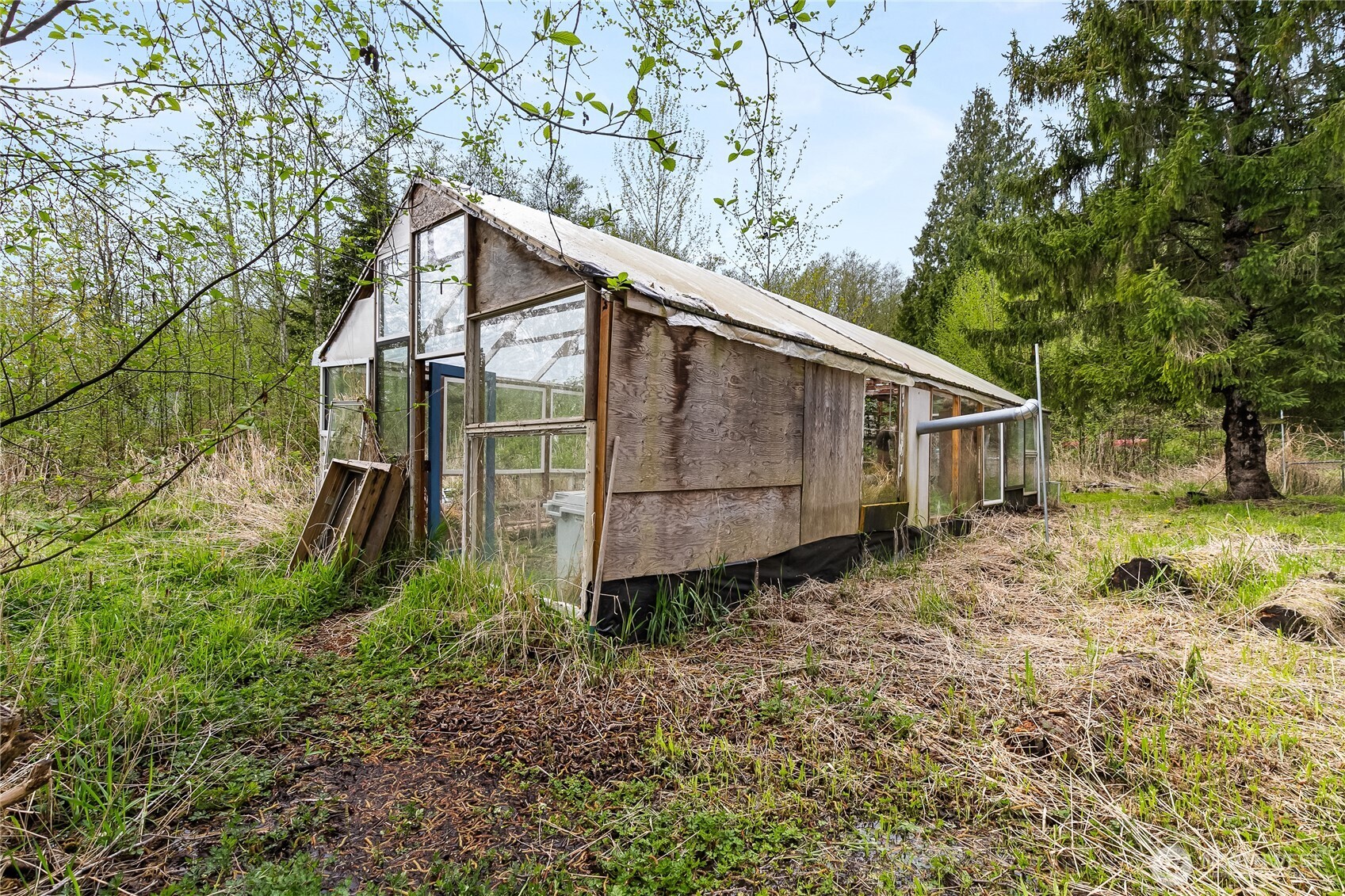 6557 Malloy Road Ferndale, WA 98248 - Photo 21 of 24 a backyard of a house with lots of green space